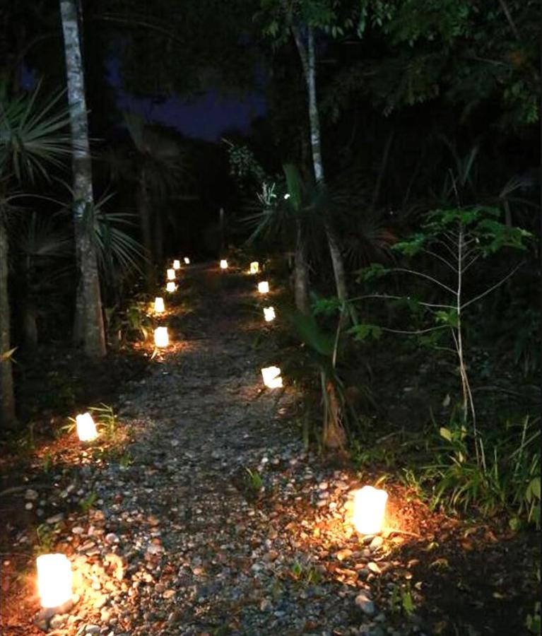 Reserva Ecologica Vive Copalitilla Villa San Miguel del Puerto Eksteriør bilde